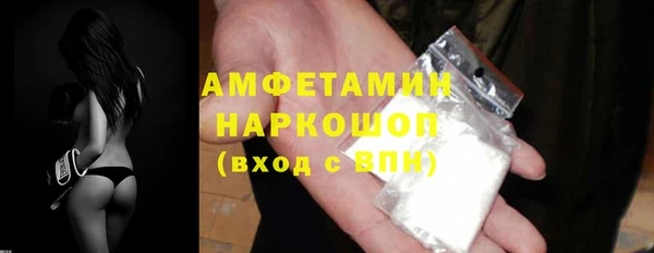 дмт Бородино