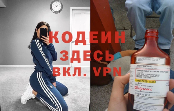 дмт Бородино