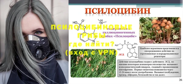 стафф Верея